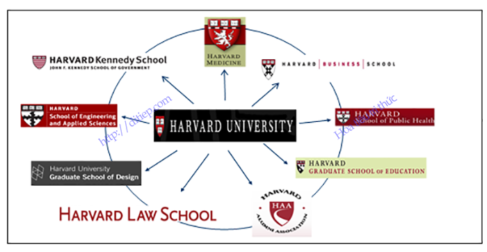 Hình minh họa sử dụng tên trường mẹ + logo và tên của trường con (ĐH Harvard)